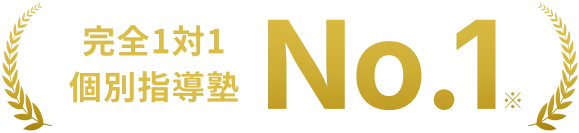 完全1対1個別指導塾 No.1※