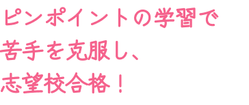 ピンポイントの学習で苦手を克服し、志望校合格！