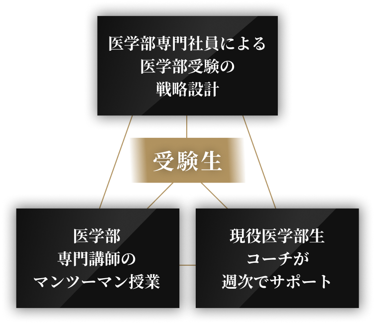 医学部専門社員による医学部受験の戦略設計 医学部専門講師のマンツーマン授業 現役医学部生コーチが週次でサポート