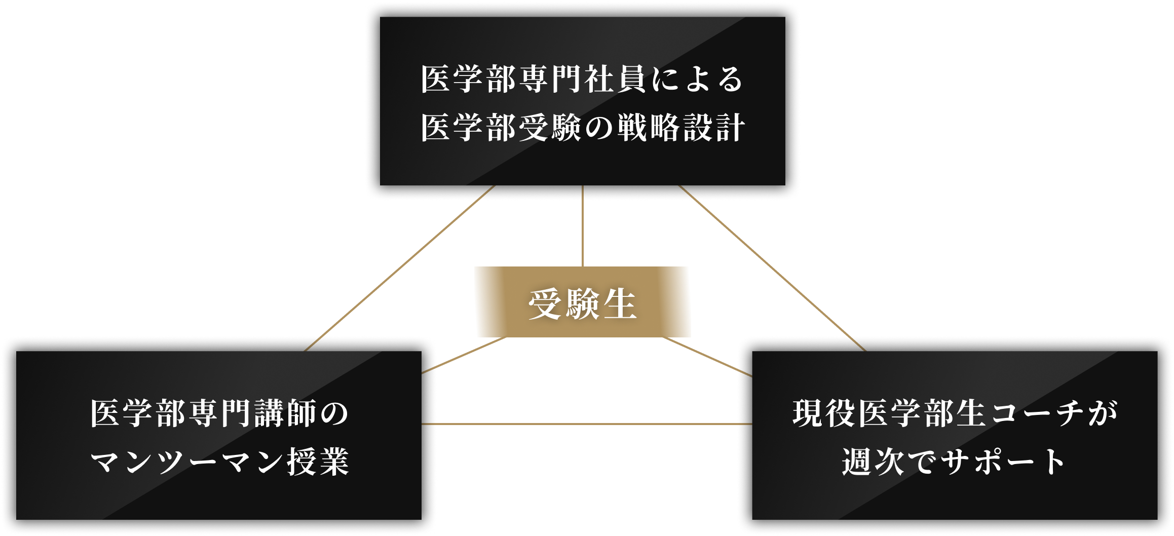 医学部専門社員による医学部受験の戦略設計 医学部専門講師のマンツーマン授業 現役医学部生コーチが週次でサポート